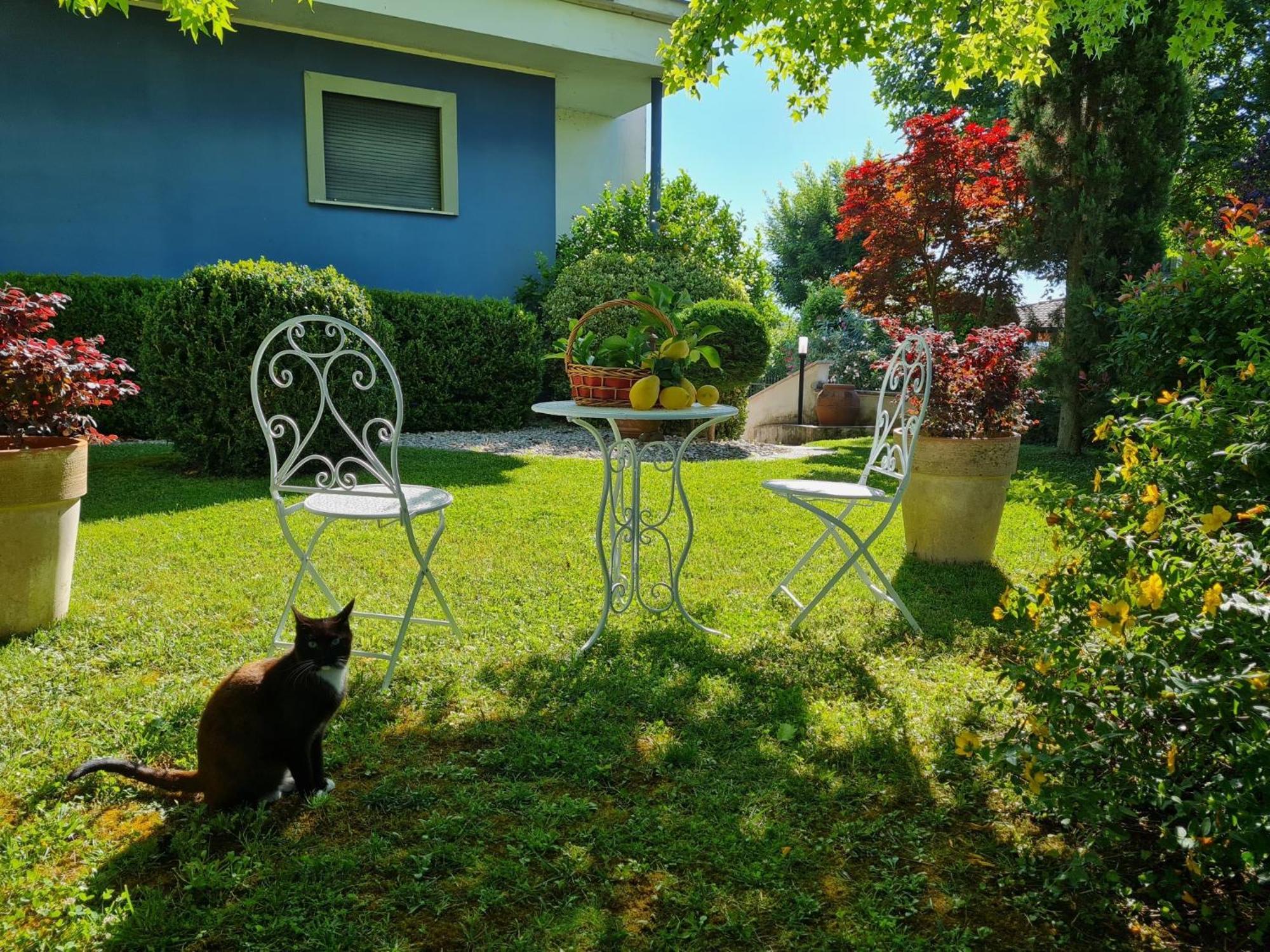 Villa Lanni Cassino Exterior foto